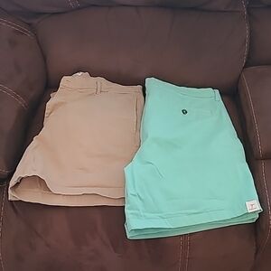 Men's Khaki and Mint Green Shorts